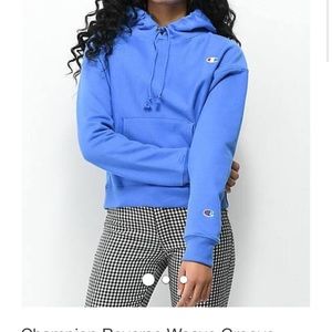 Meet your Posher, Darci